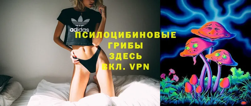 Галлюциногенные грибы Magic Shrooms Кирс